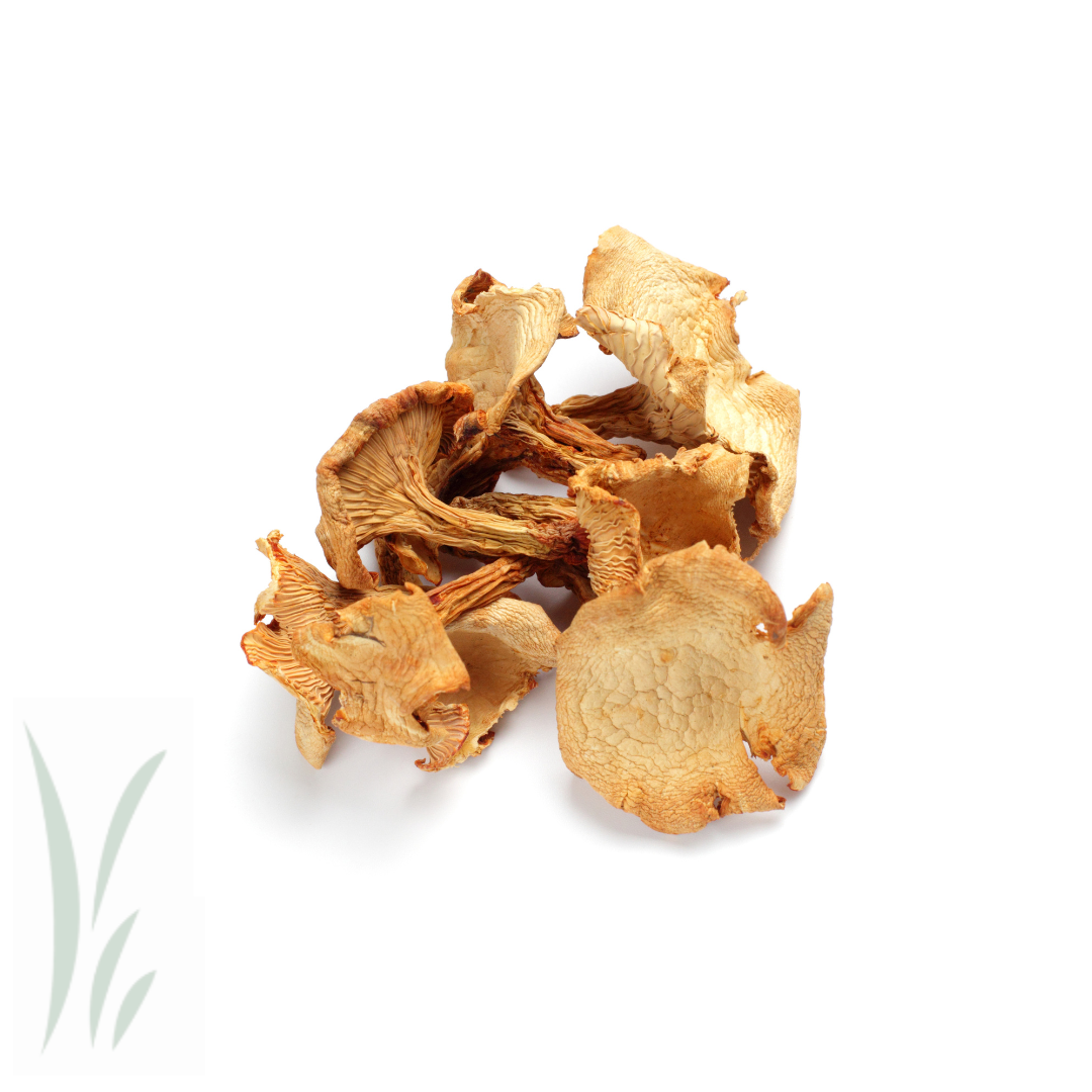 Dried Wild Chanterelle Mushrooms / 2oz