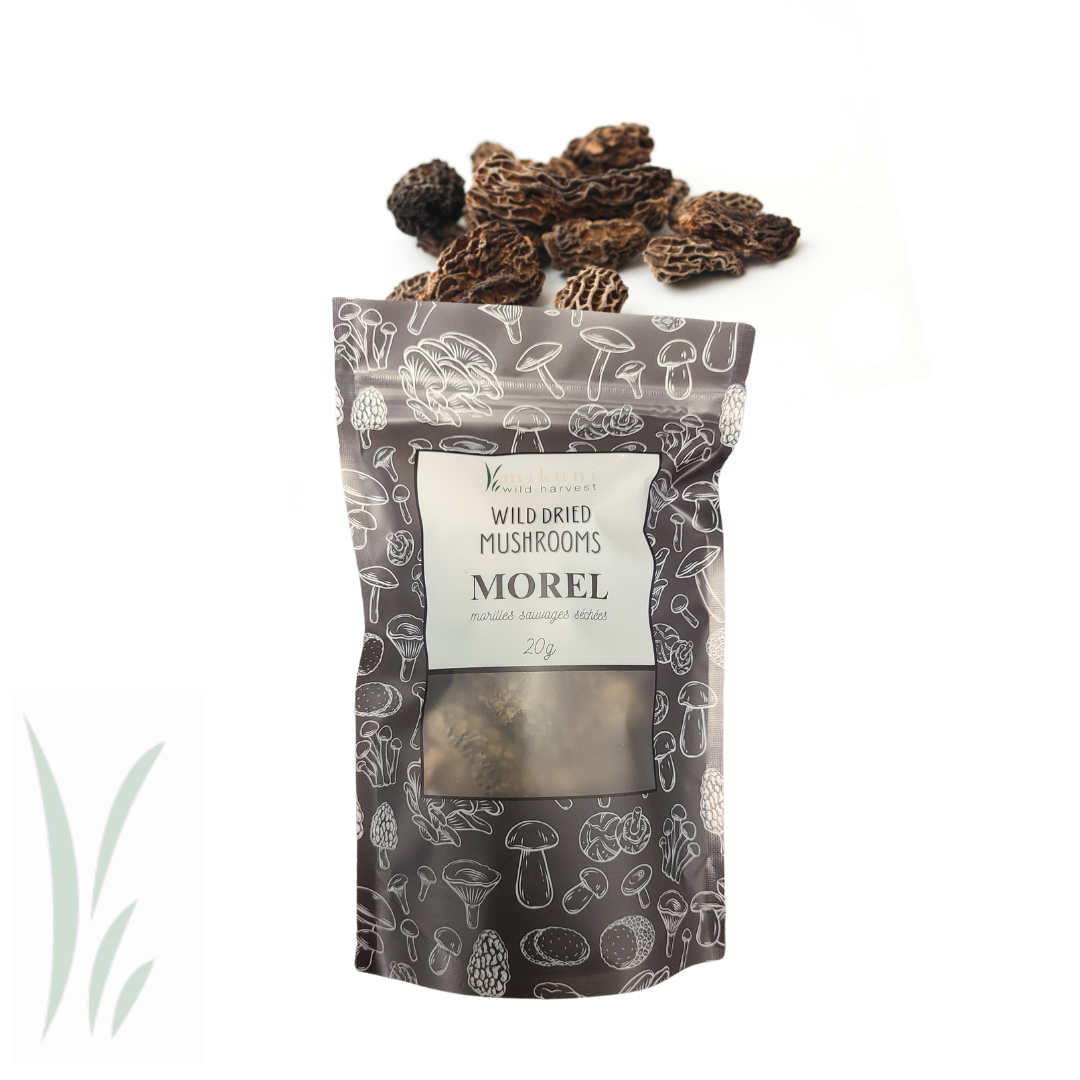 Dried Wild Morel Mushrooms / 20 g.