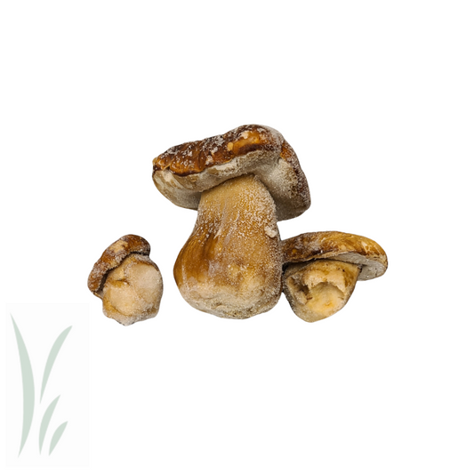 Wild Porcini Mushroom, Frozen / 1 kg