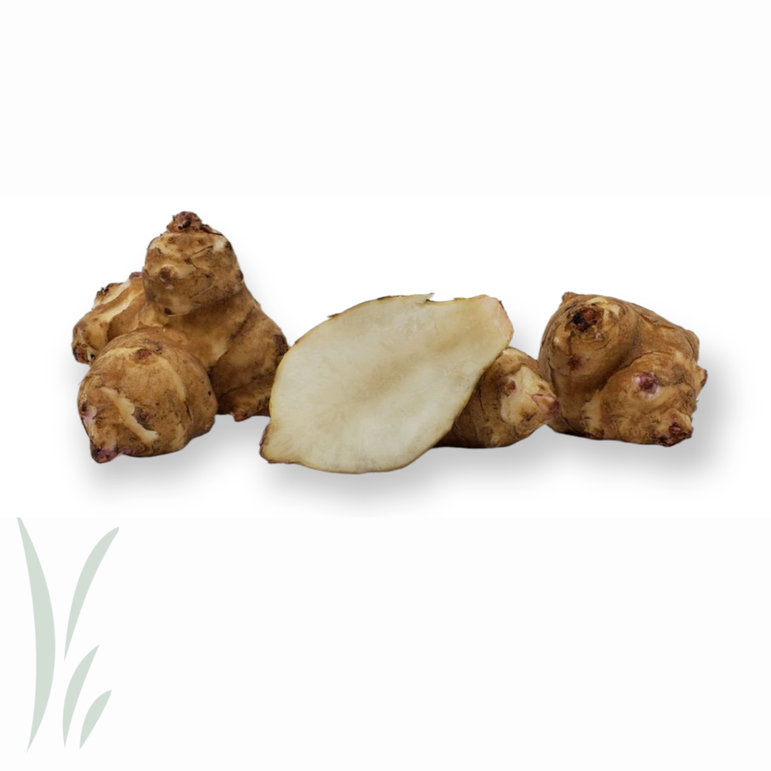 White Sunchokes / lb