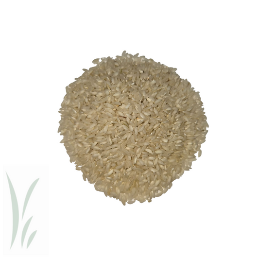 Carolina Gold Rice / lb