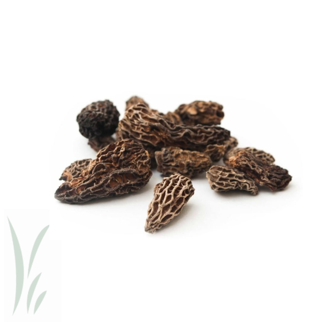 Wild Morel Mushroom, Dried / lb