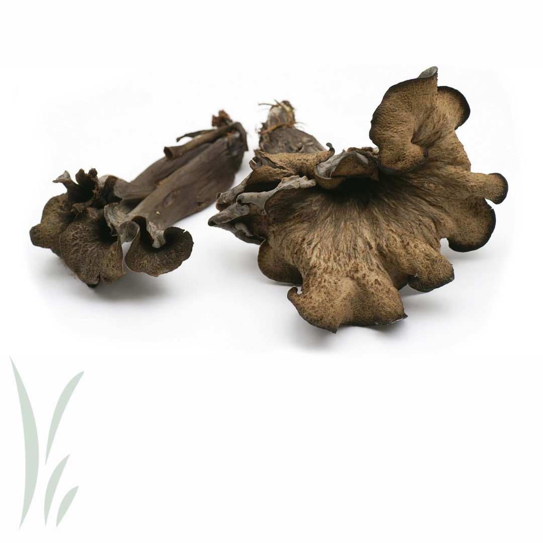 Wild Black Trumpet Mushroom / lb