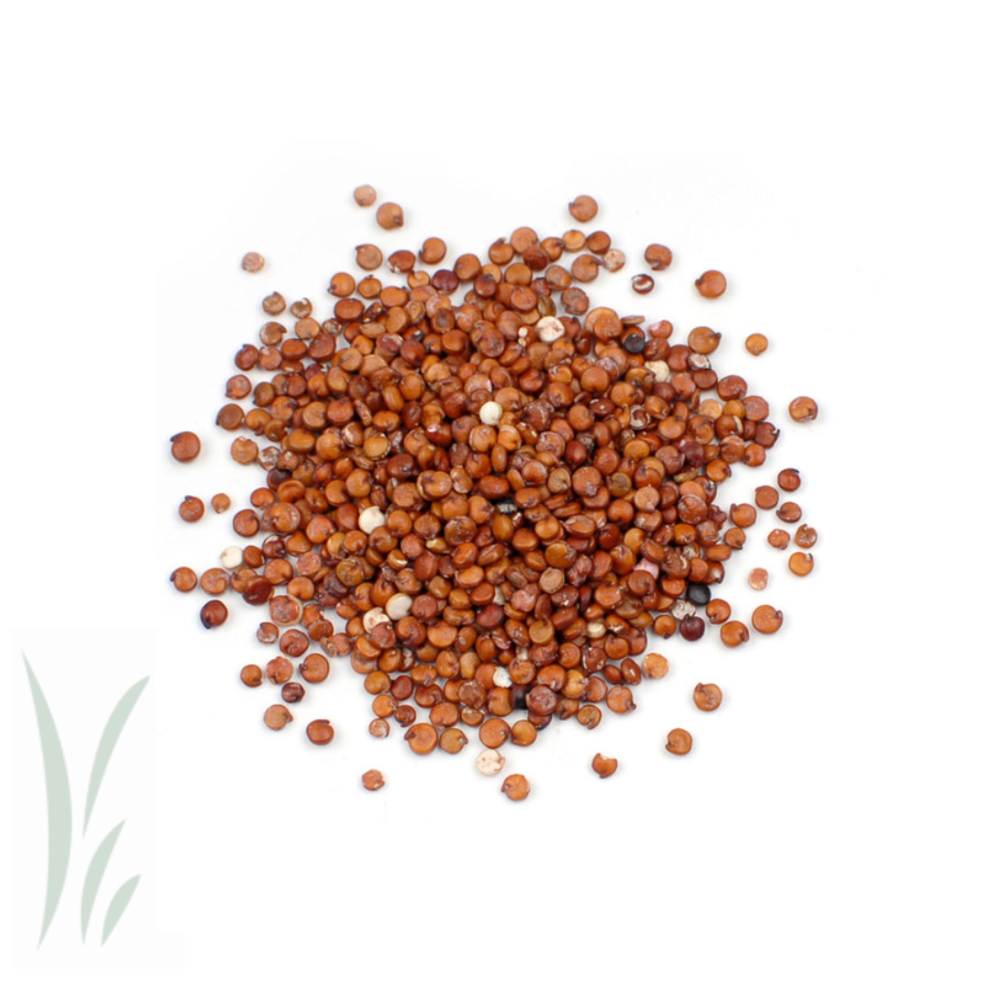 Red Quinoa, Organic / 10 lb