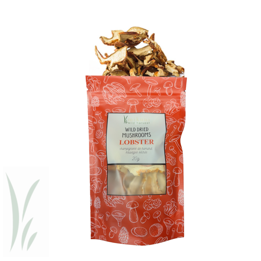 Dried Wild Lobster Mushrooms / 20 g.