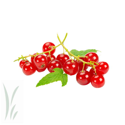 Red Currants, Frozen / lb