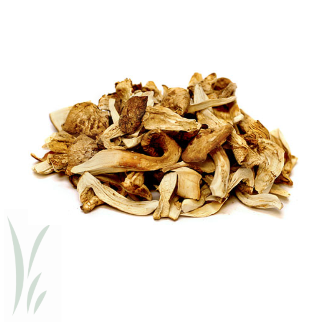 Wild Pine (Matsutake) Mushroom, Dried / lb