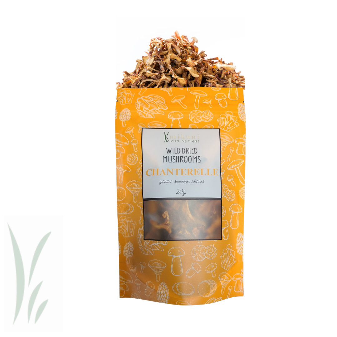 Dried Wild Chanterelle Mushrooms / 20 g