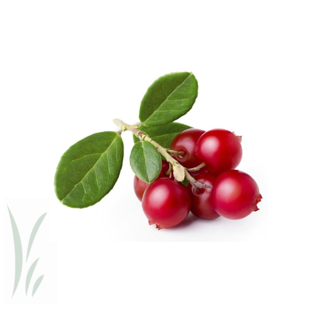 Lingonberries, Frozen / lb